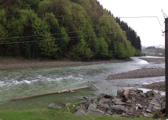 ялівець Kolochava